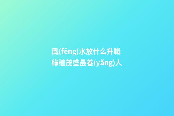 風(fēng)水放什么升職 綠植茂盛最養(yǎng)人